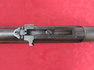 IMG_0179